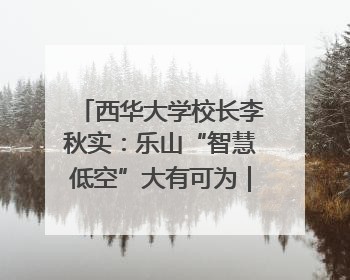 西华大学校长李秋实：乐山“智慧低空”大有可为｜西望四川