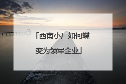 西南小厂如何蝶变为领军企业