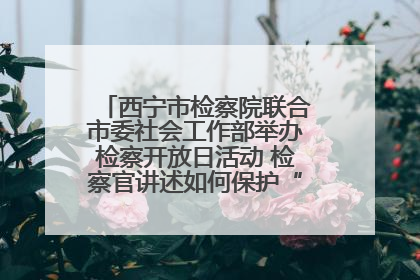 西宁市检察院联合市委社会工作部举办检察开放日活动 检察官讲述如何保护“少年的你”