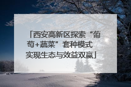 西安高新区探索“葡萄+蔬菜”套种模式 实现生态与效益双赢