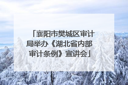 襄阳市樊城区审计局举办《湖北省内部审计条例》宣讲会