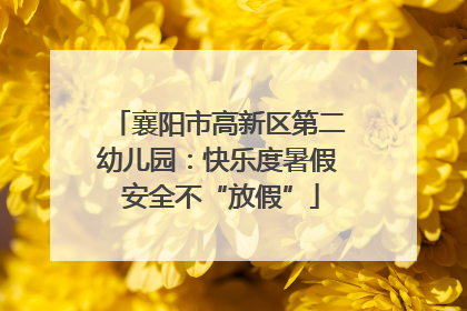 襄阳市高新区第二幼儿园：快乐度暑假 安全不“放假”