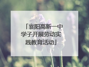 襄阳高新一中学子开展劳动实践教育活动