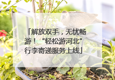解放双手，无忧畅游！“轻松游河北”行李寄递服务上线