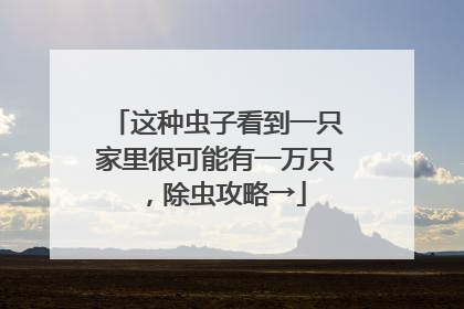 这种虫子看到一只家里很可能有一万只，除虫攻略→