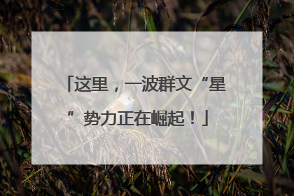 这里，一波群文“星”势力正在崛起！