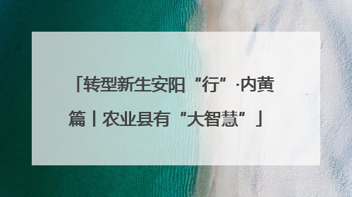 转型新生安阳“行”·内黄篇丨农业县有“大智慧”