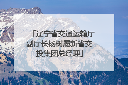 辽宁省交通运输厅副厅长杨树履新省交投集团总经理