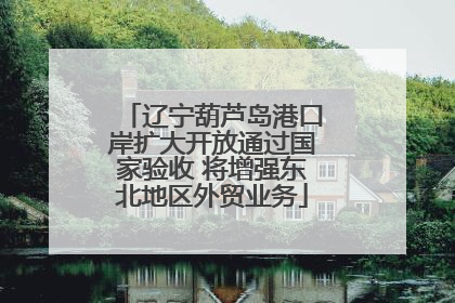 辽宁葫芦岛港口岸扩大开放通过国家验收 将增强东北地区外贸业务