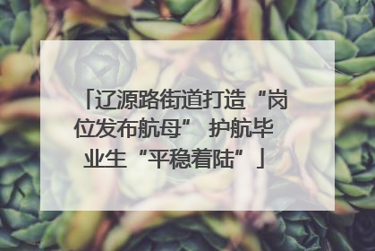辽源路街道打造“岗位发布航母” 护航毕业生“平稳着陆”