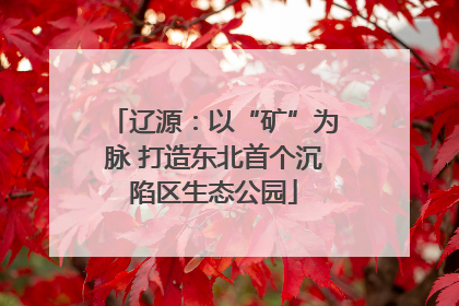 辽源：以“矿”为脉 打造东北首个沉陷区生态公园