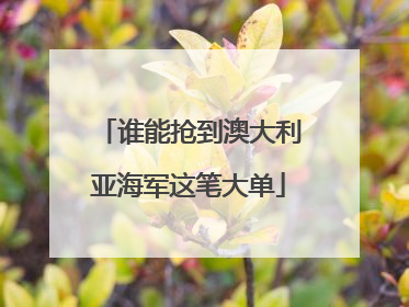 谁能抢到澳大利亚海军这笔大单