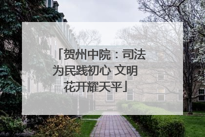 贺州中院：司法为民践初心 文明花开耀天平
