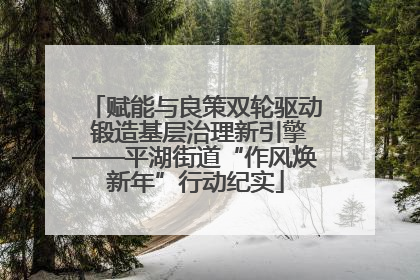 赋能与良策双轮驱动 锻造基层治理新引擎——平湖街道“作风焕新年”行动纪实