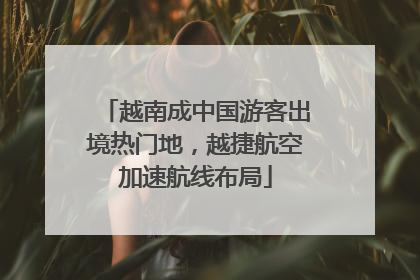 越南成中国游客出境热门地，越捷航空加速航线布局