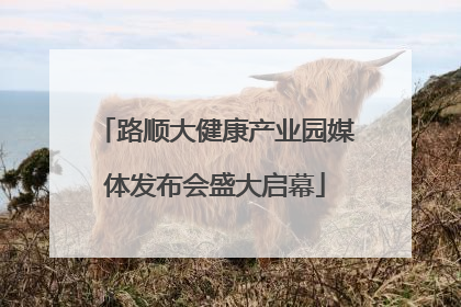路顺大健康产业园媒体发布会盛大启幕