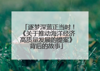逐梦深蓝正当时！《关于推动海洋经济高质量发展的提案》背后的故事