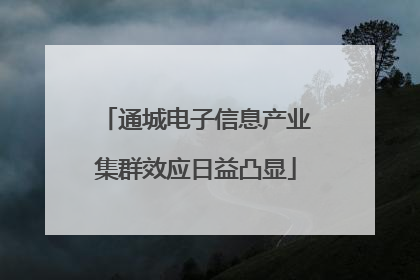 通城电子信息产业集群效应日益凸显