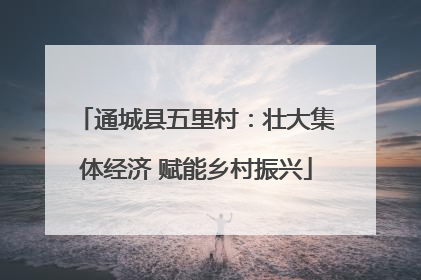 通城县五里村：壮大集体经济 赋能乡村振兴