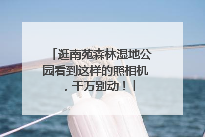 逛南苑森林湿地公园看到这样的照相机，千万别动！