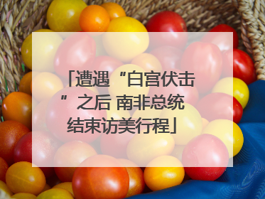 遭遇“白宫伏击”之后 南非总统结束访美行程