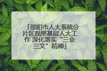 邵阳市人大系统分片区观摩基层人大工作 深化落实“三会三文”精神