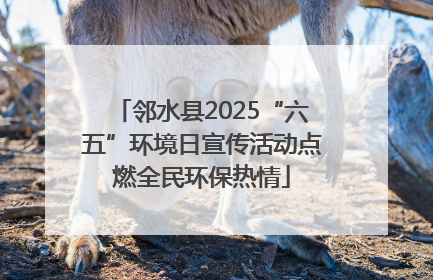 邻水县2025“六五”环境日宣传活动点燃全民环保热情