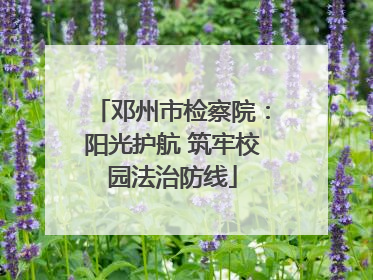邓州市检察院：阳光护航 筑牢校园法治防线