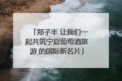 郑子丰 让我们一起共筑宁夏葡萄酒旅游 的国际新名片