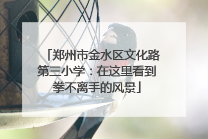 郑州市金水区文化路第三小学：在这里看到拳不离手的风景