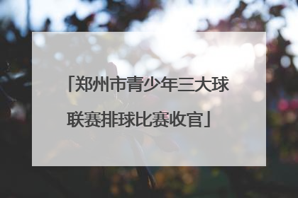 郑州市青少年三大球联赛排球比赛收官
