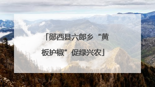 郧西县六郎乡“黄板护椒”促绿兴农