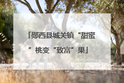 郧西县城关镇“甜蜜”桃变“致富”果