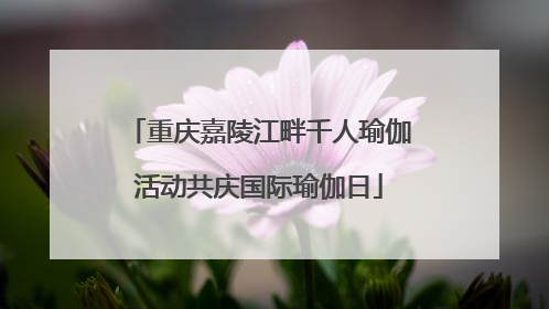 重庆嘉陵江畔千人瑜伽活动共庆国际瑜伽日