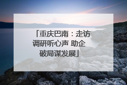 重庆巴南：走访调研听心声 助企破局谋发展