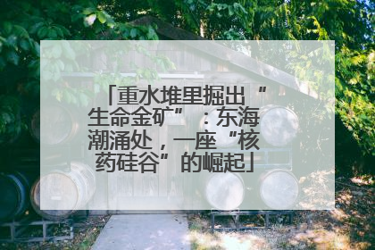 重水堆里掘出“生命金矿”：东海潮涌处，一座“核药硅谷”的崛起