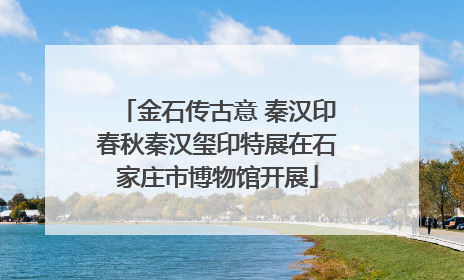 金石传古意 秦汉印春秋秦汉玺印特展在石家庄市博物馆开展