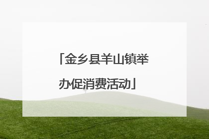 金乡县羊山镇举办促消费活动
