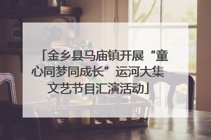 金乡县马庙镇开展“童心同梦同成长”运河大集文艺节目汇演活动