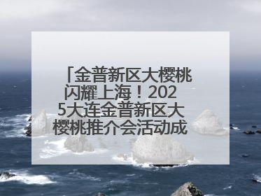 金普新区大樱桃闪耀上海！2025大连金普新区大樱桃推介会活动成功举办！