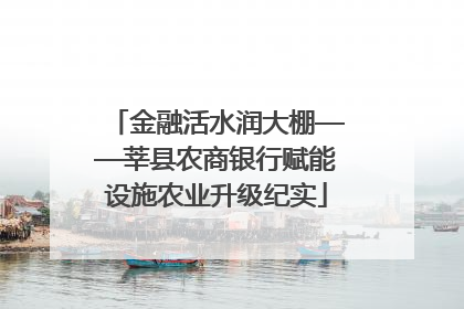 金融活水润大棚——莘县农商银行赋能设施农业升级纪实