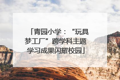 青园小学：“玩具梦工厂”跨学科主题学习成果闪耀校园