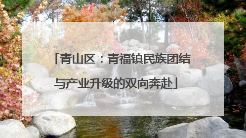 青山区：青福镇民族团结与产业升级的双向奔赴