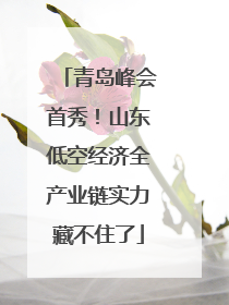 青岛峰会首秀！山东低空经济全产业链实力藏不住了