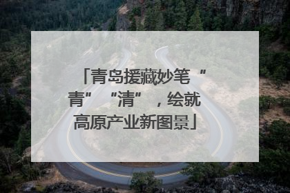 青岛援藏妙笔“青”“清”，绘就高原产业新图景