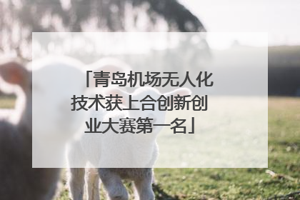 青岛机场无人化技术获上合创新创业大赛第一名
