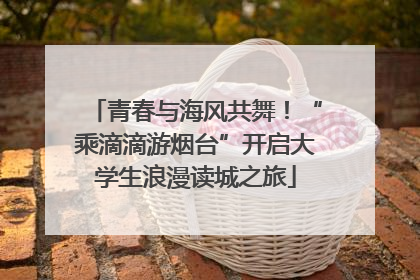 青春与海风共舞！“乘滴滴游烟台”开启大学生浪漫读城之旅