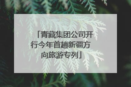 青藏集团公司开行今年首趟新疆方向旅游专列