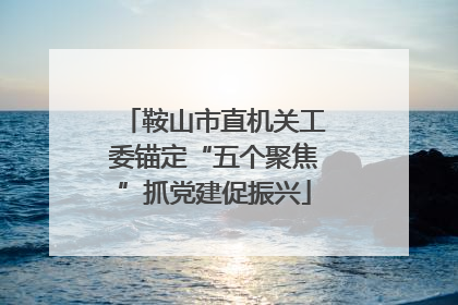 鞍山市直机关工委锚定“五个聚焦”抓党建促振兴