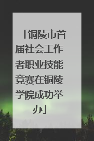 铜陵市首届社会工作者职业技能竞赛在铜陵学院成功举办